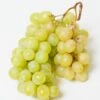 Himrod Seedless Grape -Raintree Nursery himrod grape