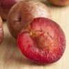 Combo Zee Sweet Pluot Tree (4 Varieties) -Raintree Nursery zee sweet pluot 1 1